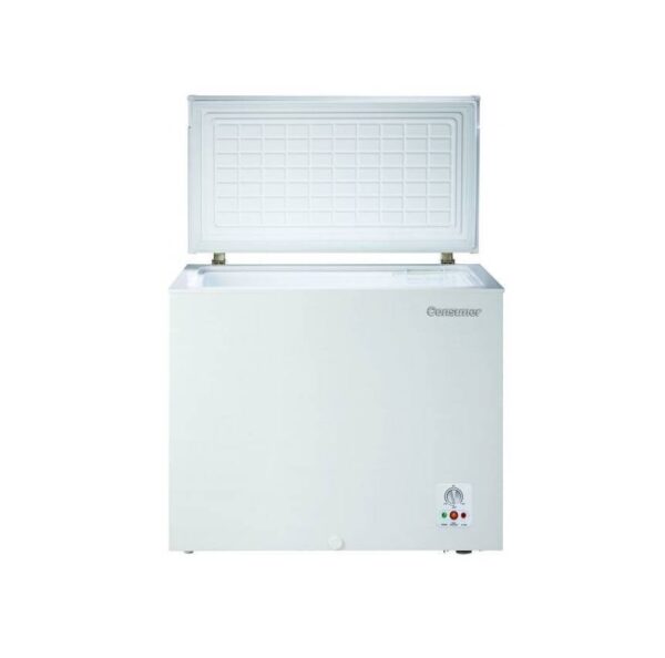 CONGELADOR CONSUMER 250 L (1406) - Imagen 2