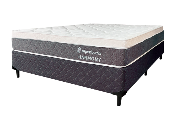 BASE MAS COCLHON HARMONY 1,60 x 2.00 80 KG SUPERSPUMA - Imagen 2