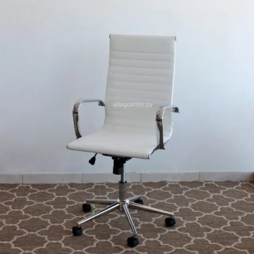 SILLA GIR TRINEO BIEGE PATA CROM Y1846BG