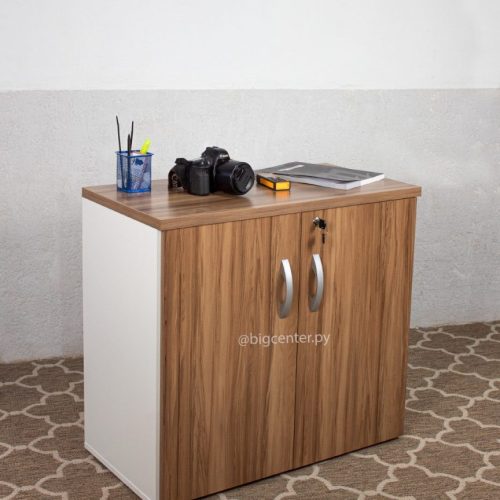 ARMARIO BAJO DE 2 PUERTAS